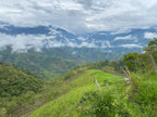 Peru Namballe - Crafted for a Brighter Brew