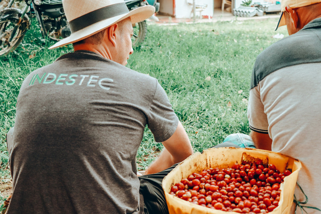 Peach Cobbler - A Smooth Pick for Coffee Lovers